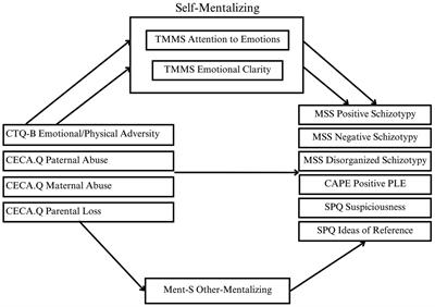 I don’t understand how I feel: mediating role of impaired self-mentalizing in the relationship between childhood adversity and psychosis spectrum experiences